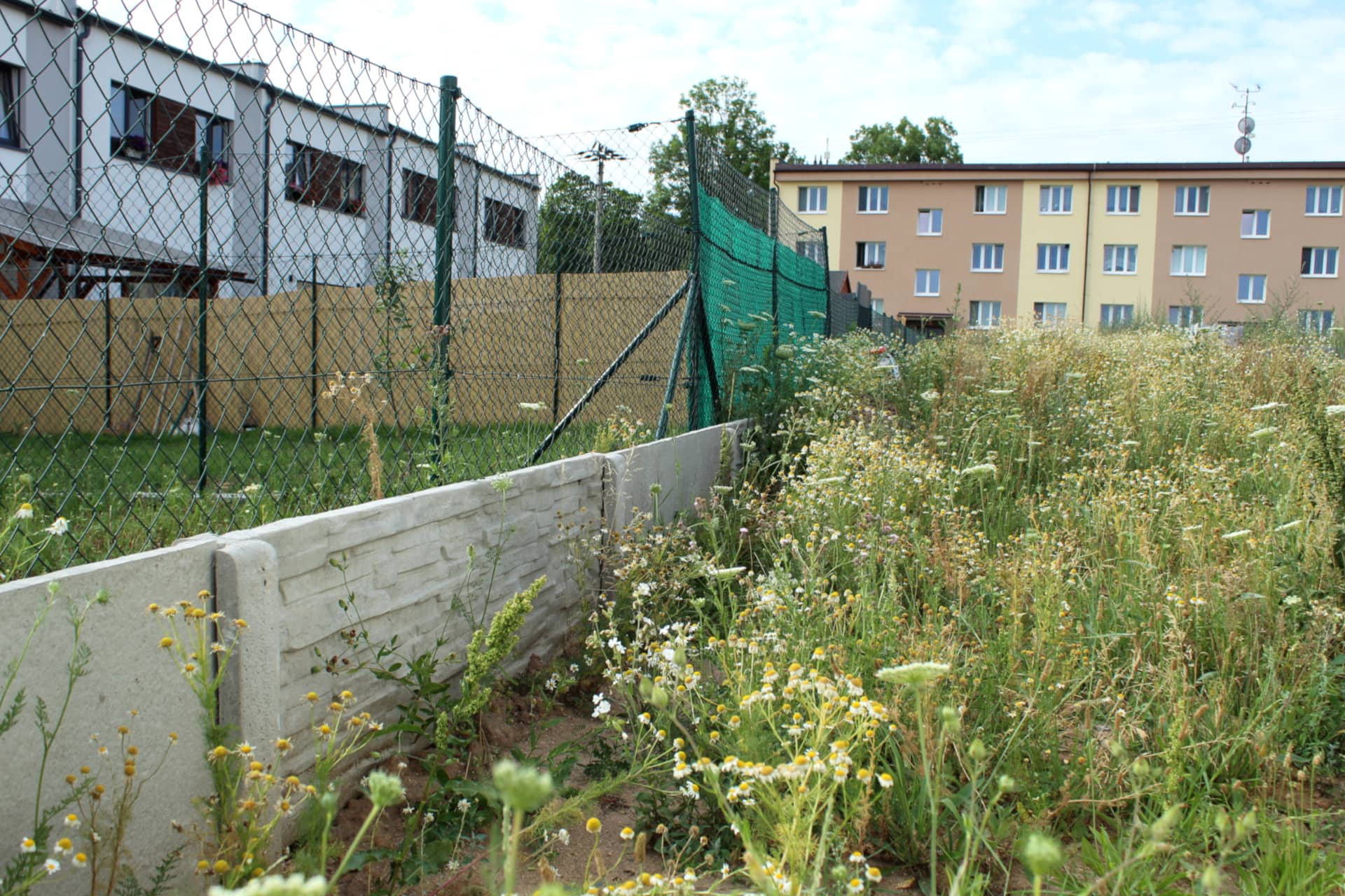 Zbůch betonový plot 